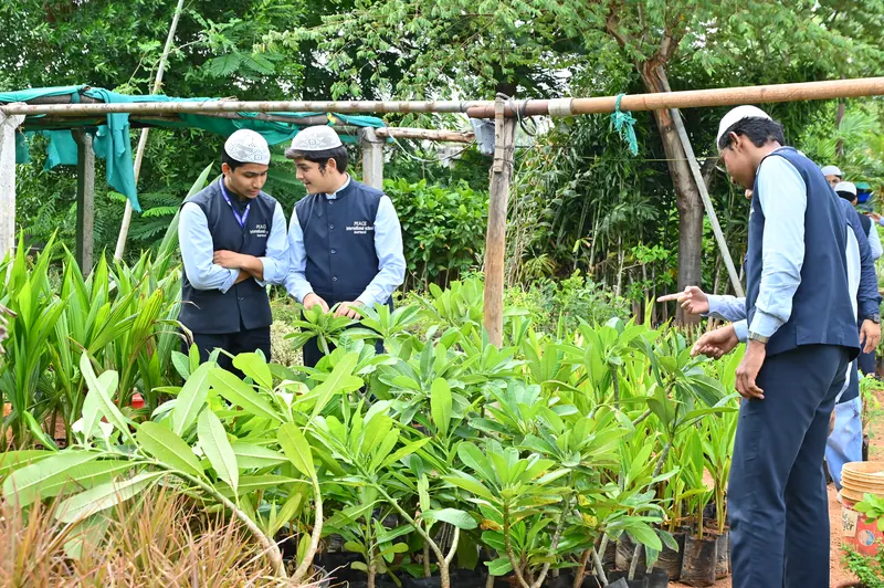 Students planting saplings during the school environment and tree plantation drive